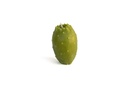 Cactus Fig Candle