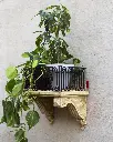 IMG_0527.webp