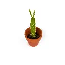 DM1A8083.webp