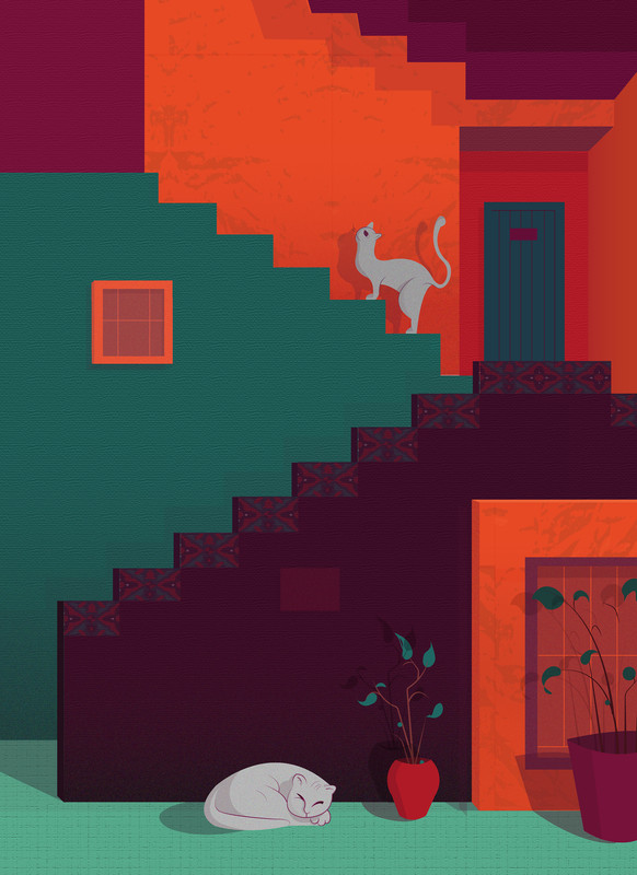 Ladder and Cat 1
