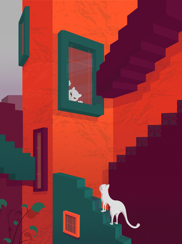 Ladder and Cat 2