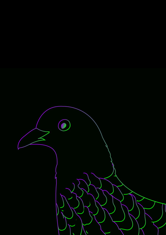 Oh Pigeon 1
