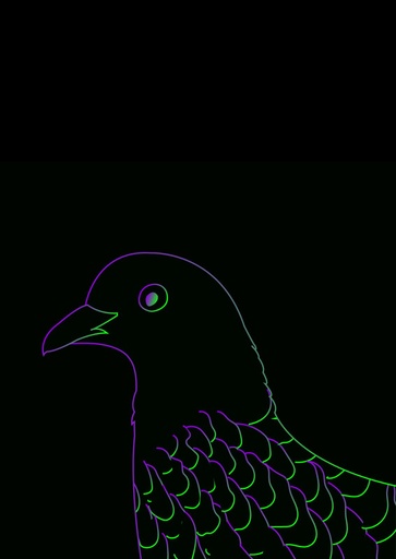 [Sara Mabrouk] Oh Pigeon 1
