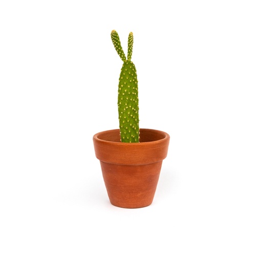 [MP10637] Mini Pot™