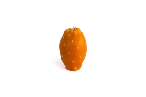 Cactus Fig Candle