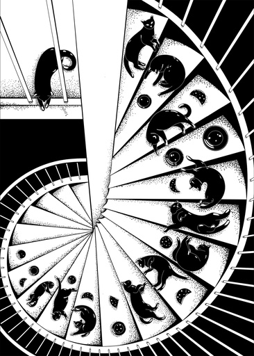 [Nourhane Elkady] Paws In Motion